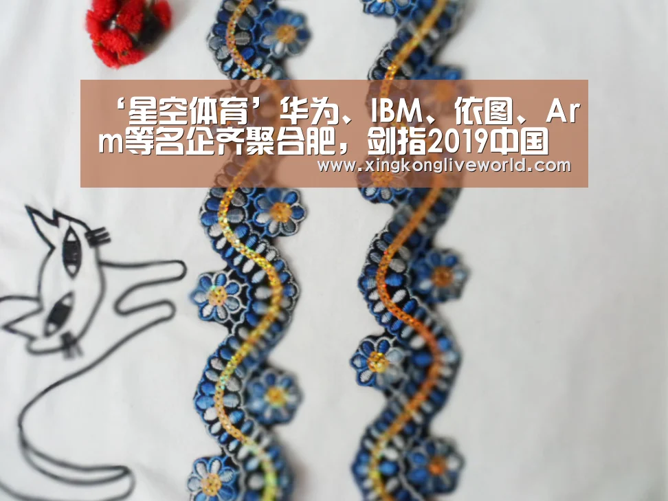 ‘星空体育’华为、IBM、依图、Arm等名企齐聚合肥,剑指2019中国AIoT产业发展论坛(图1) 星空体育