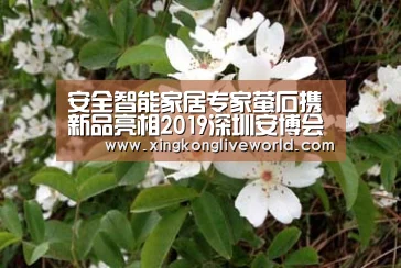 安全智能家居专家萤石携新品亮相2019深圳安博会-星空APP(图2) 星空视讯