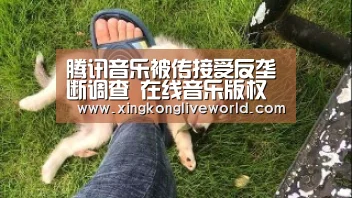 腾讯音乐被传接受反垄断调查 在线音乐版权之争或生变【星空APP】(图2) 星空视讯