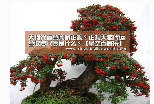 天猫代运营哪家正规?正规天猫代运营收费尺度是什么?【星空百家乐】(图1) 星空体育