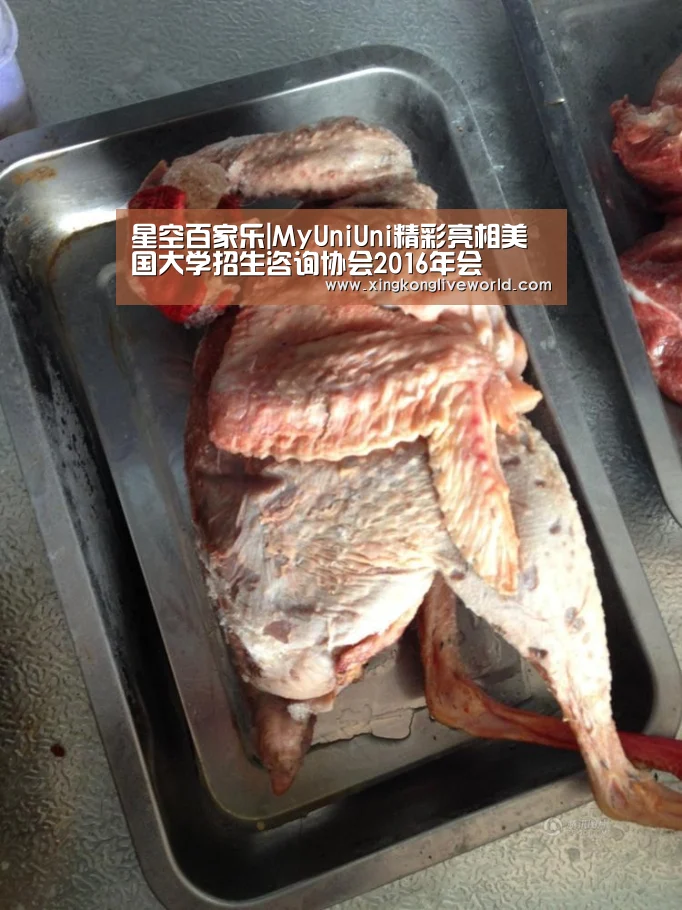 星空百家乐