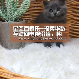 星空百家乐-探索华数互联网电视价值,构建多屏互动综合生态(图1) 星空百家乐