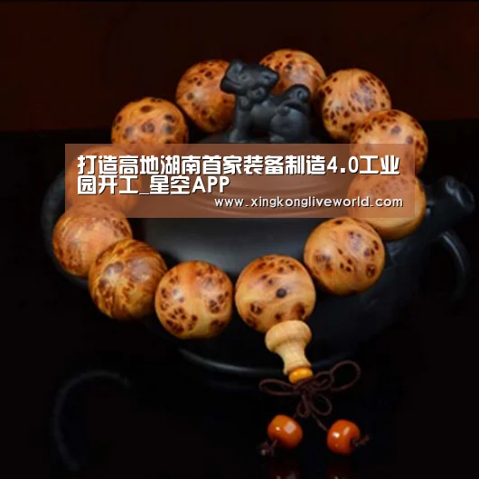 打造高地湖南首家装备制造4.0工业园开工_星空APP(图2) 星空APP