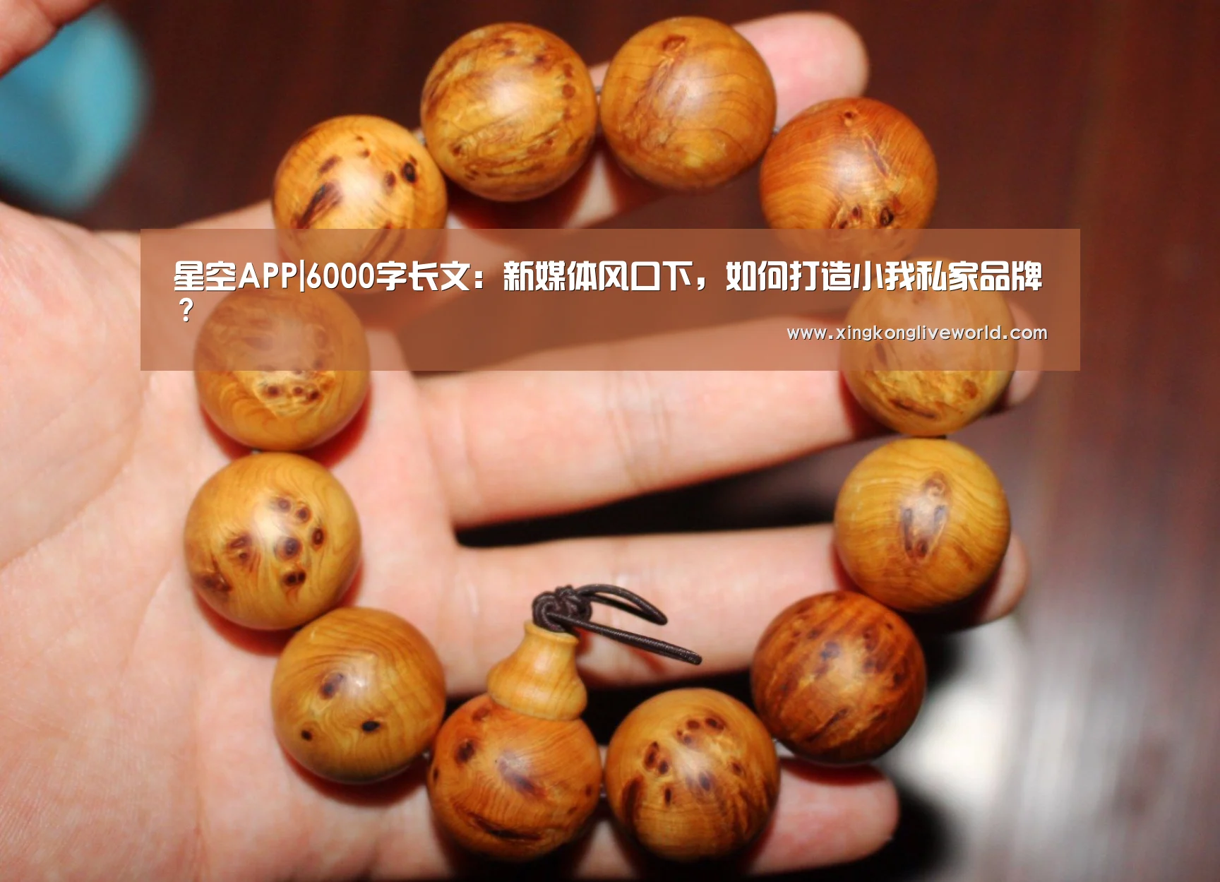 星空APP|6000字长文:新媒体风口下,如何打造小我私家品牌?(图3) 星空视讯