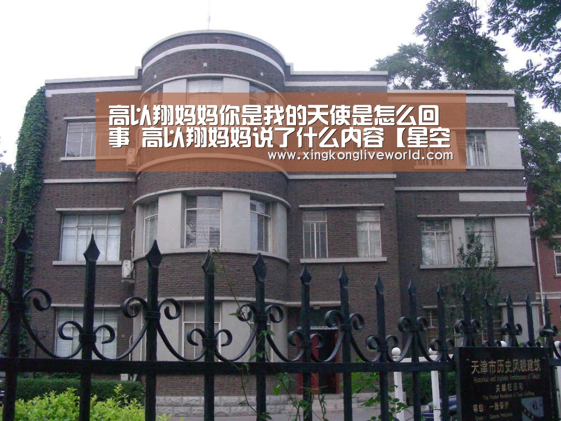 高以翔妈妈你是我的天使是怎么回事 高以翔妈妈说了什么内容【星空百家乐】(图3) 星空视讯