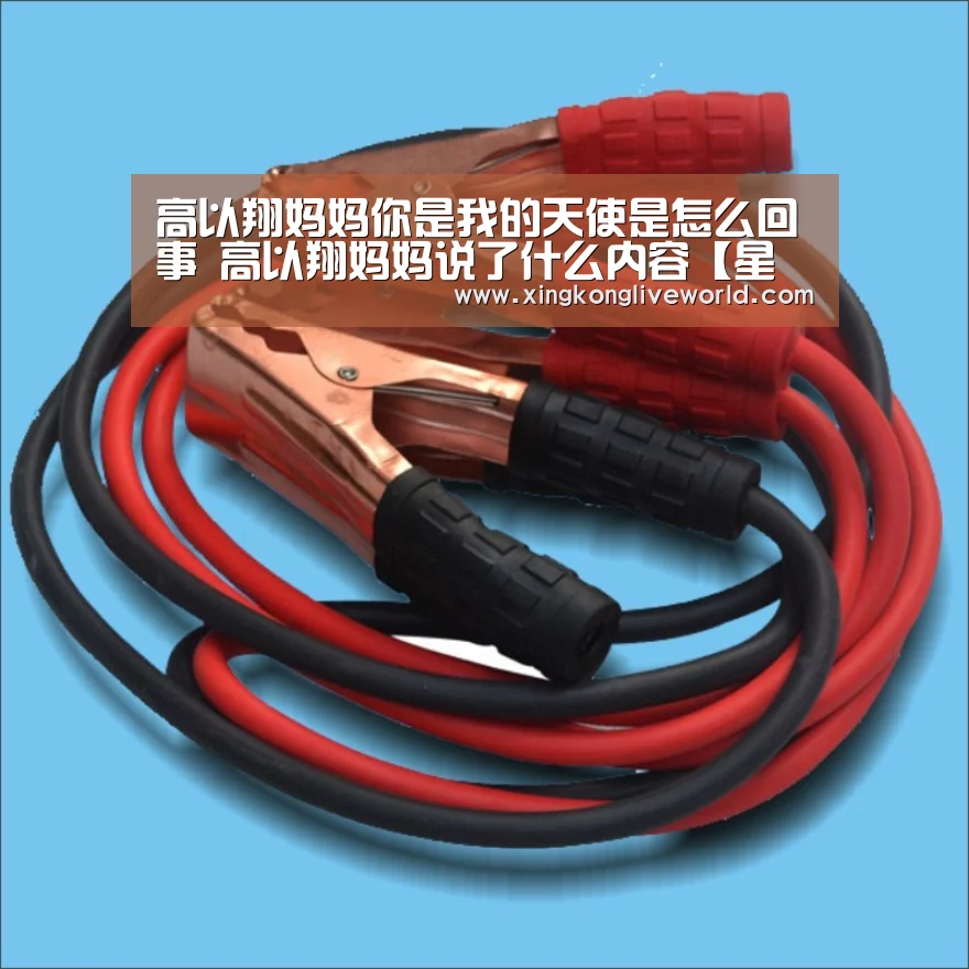 高以翔妈妈你是我的天使是怎么回事 高以翔妈妈说了什么内容【星空百家乐】(图1) 星空体育