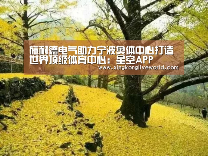星空体育