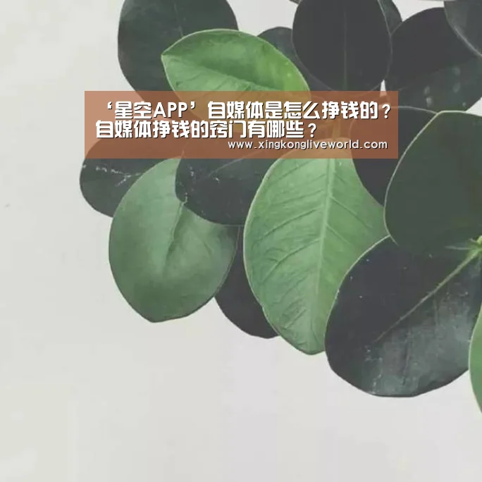 ‘星空APP’自媒体是怎么挣钱的?自媒体挣钱的窍门有哪些?(图2) 星空体育