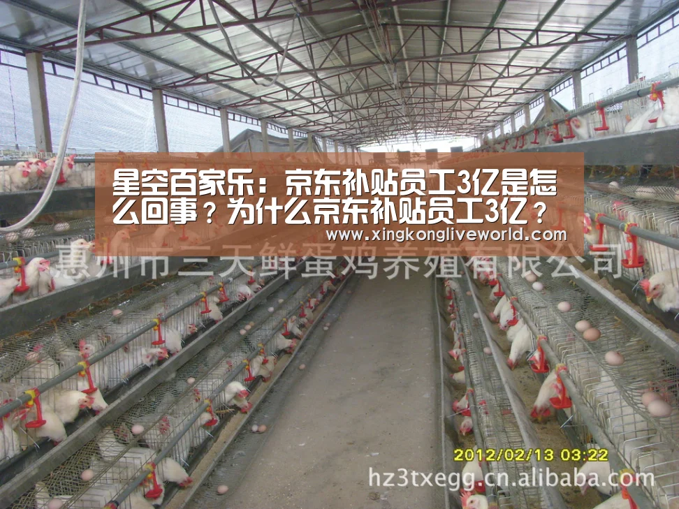 星空百家乐:京东补贴员工3亿是怎么回事?为什么京东补贴员工3亿?(图1) 星空APP